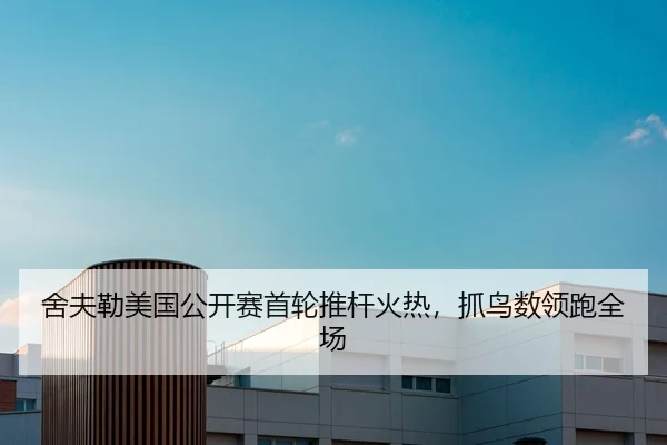 舍夫勒美国公开赛首轮推杆火热，抓鸟数领跑全场