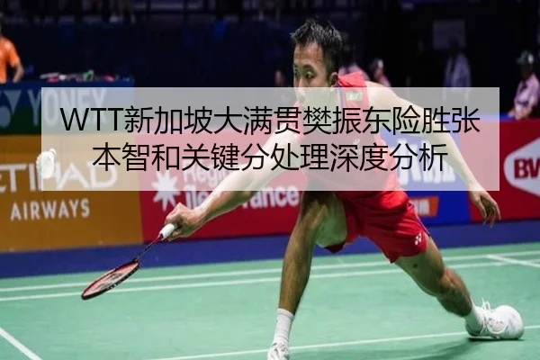WTT新加坡大满贯樊振东险胜张本智和关键分处理深度分析