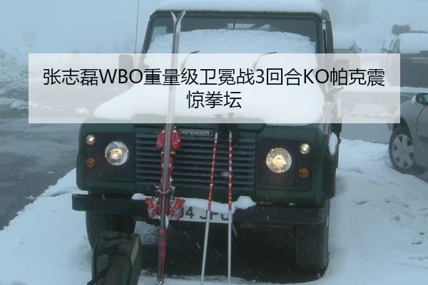 张志磊WBO重量级卫冕战3回合KO帕克震惊拳坛