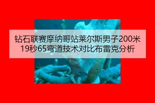 钻石联赛摩纳哥站莱尔斯男子200米19秒65弯道技术对比布雷克分析